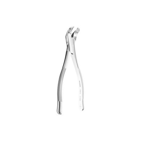 Extracting Forceps American Physick N.5