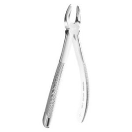 Extracting Forceps N. 65R