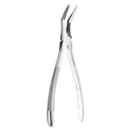 Extracting Forceps N. 145