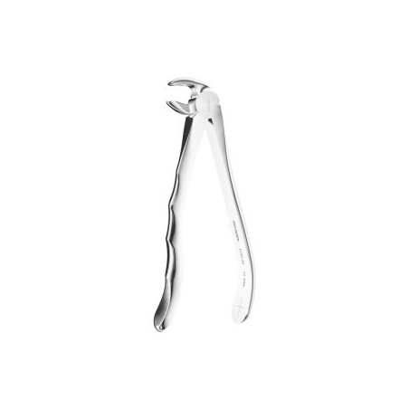 Extracting Forceps Anatomic Handle N.22