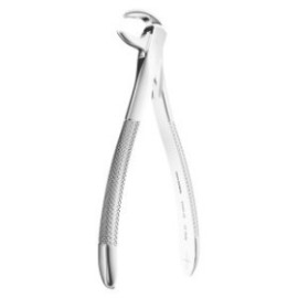 Extracting Forceps N. 73