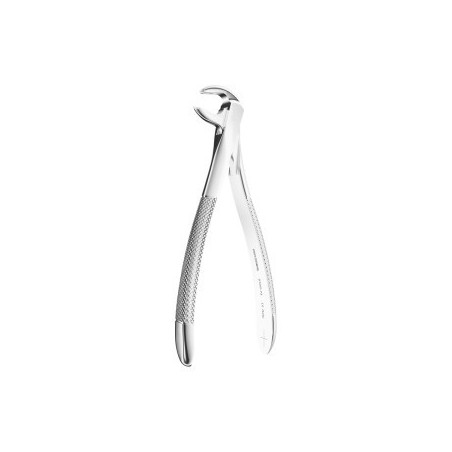 Extracting Forceps N. 73