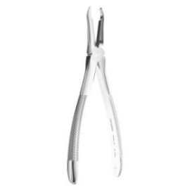 Extracting Forceps N. 41