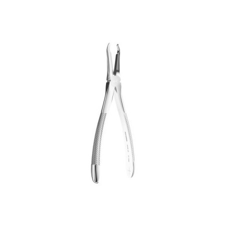 Extracting Forceps N. 41