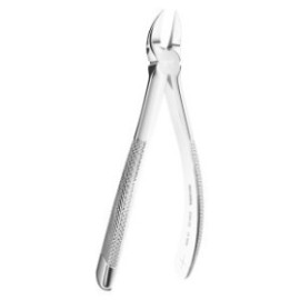 Extracting Forceps N. 55