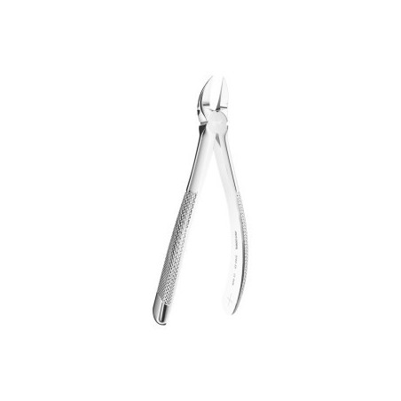 Extracting Forceps N. 55