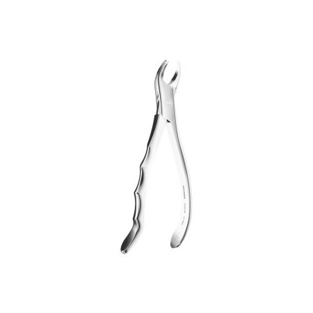 Extracting Forceps Anatomic N.90