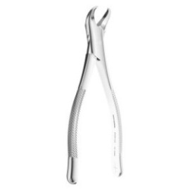 Extracting Forceps American Type N.23