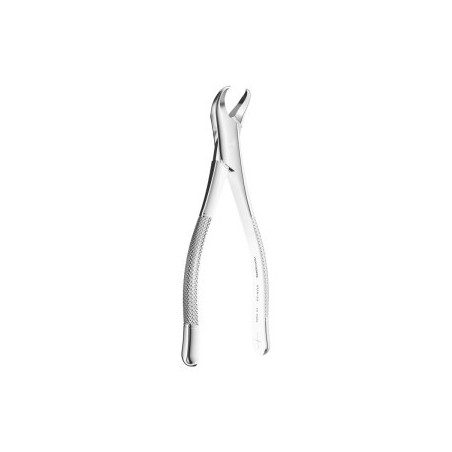 Extracting Forceps American Type N.23