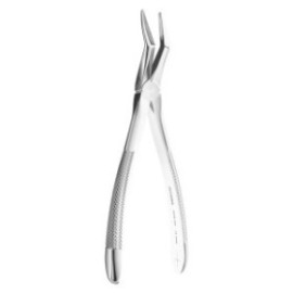 Extracting Forceps N. 151, 19cm