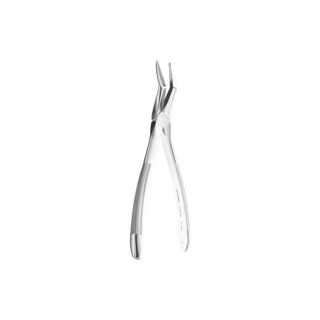 Extracting Forceps N. 151, 19cm