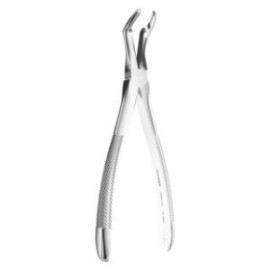 Extracting Forceps N. 45