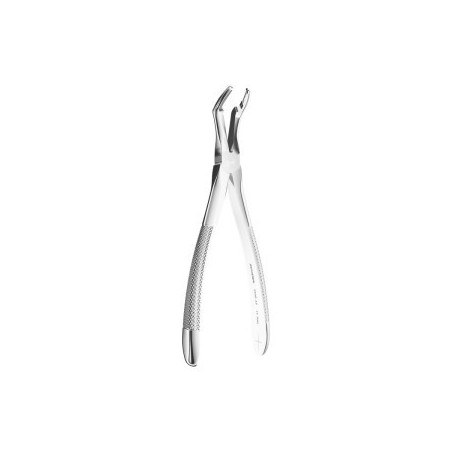 Extracting Forceps N. 45