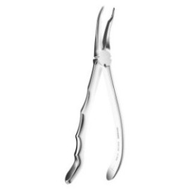 Extracting Forceps Anatomic Handle N.349