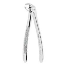 Extracting Forceps N. 59