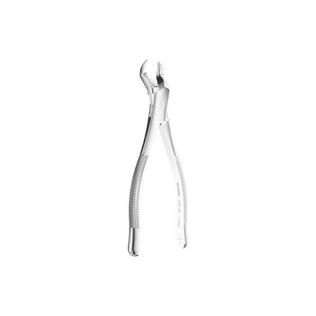 Extracting Forceps American N.53L