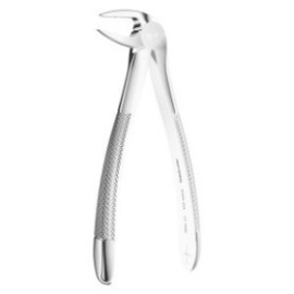 Extracting Forceps N. 33L