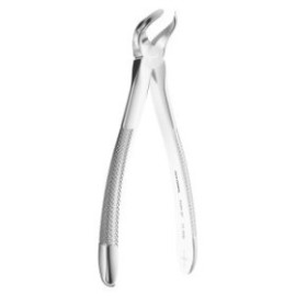 Extracting Forceps N. 87