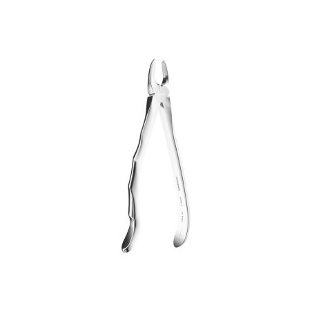 Extracting Forceps N. 1 Anatomic Handle