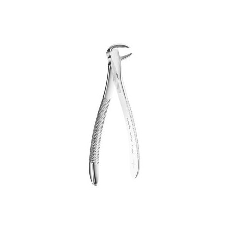 Extracting Forceps N. 167 Trotter-Universal