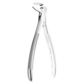 Extracting Forceps N. 74M