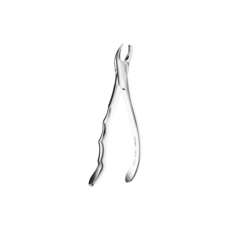 Extracting Forceps Anatomic Handle N. 89