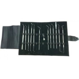 Basic Dental Instruments Kit, Small, 13 Pieces