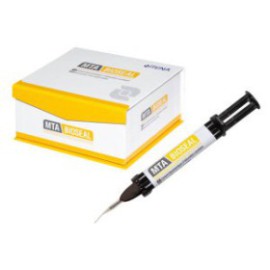 MTA BIOSEAL, Bio-ceramic sealer with MTA, 4g Syringe