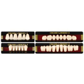 Cross Linked 2 Acrylic Teeth - B1 - S