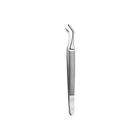 Roots Extraction Tweezer, Albrecht