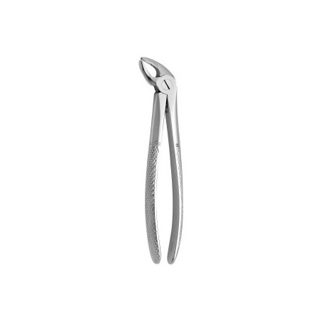 Tooth Forceps N.4