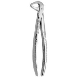 Tooth Forceps N.122