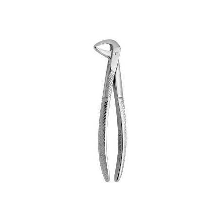 Tooth Forceps N.122