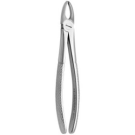 Tooth Forceps N.3