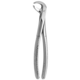 Tooth Forceps N.73-L