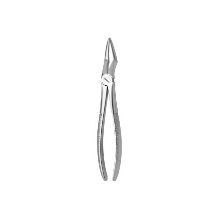 Tooth Forceps N.51-L