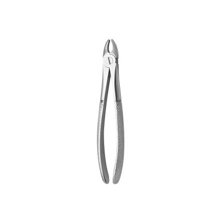 Tooth Forceps N.107