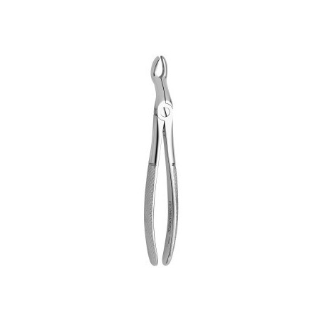 Tooth Forceps N.67-A