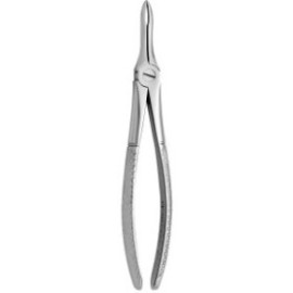 Tooth Forceps N.41