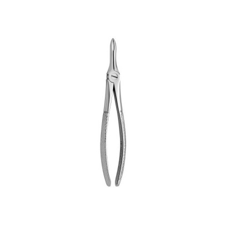 Tooth Forceps N.41