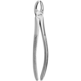 Tooth Forceps N.17