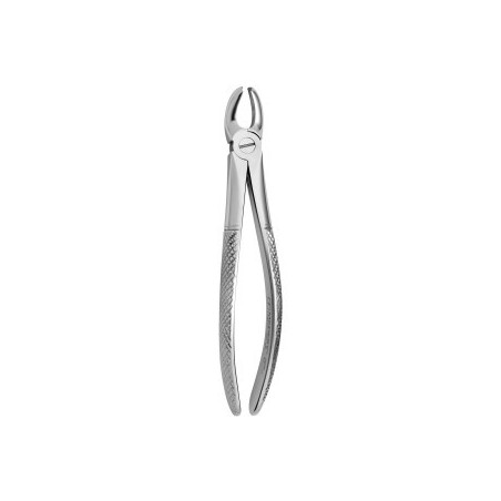 Tooth Forceps N.17