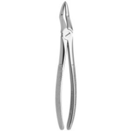 Tooth Forceps N.52