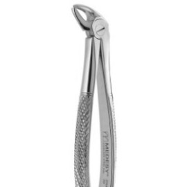 Tooth Forceps Pediatric N.38