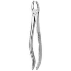 Tooth Forceps N.94