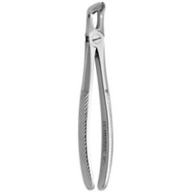 Tooth Forceps N.79