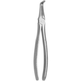 Tooth Forceps N.187