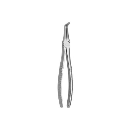 Tooth Forceps N.187