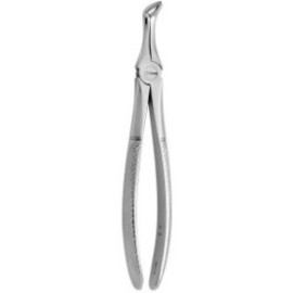 Tooth Forceps N.46