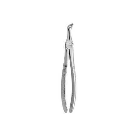 Tooth Forceps N.46